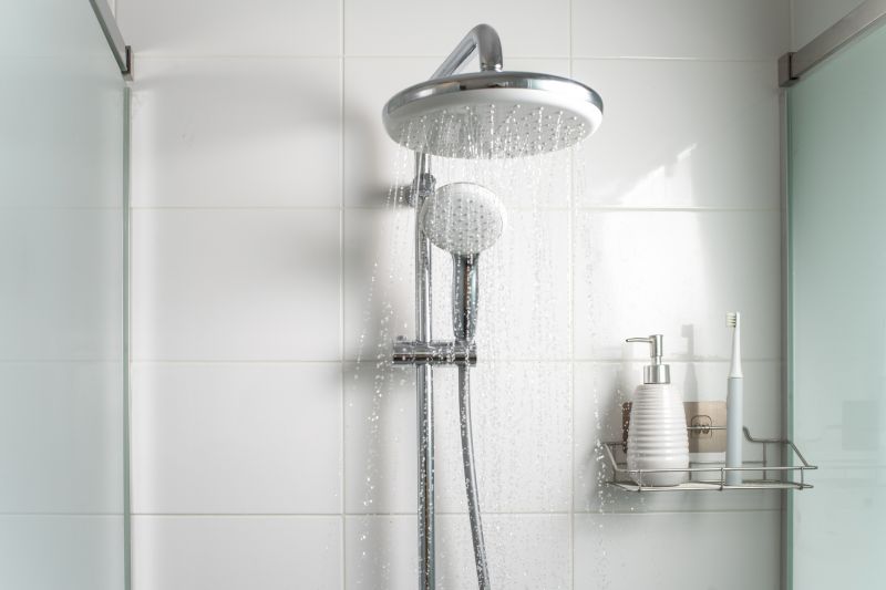 Multi-Function Shower Fixtures